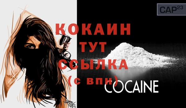 дживик Гусь-Хрустальный