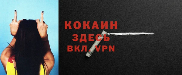 дживик Гусь-Хрустальный