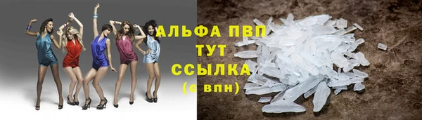 дживик Гусь-Хрустальный