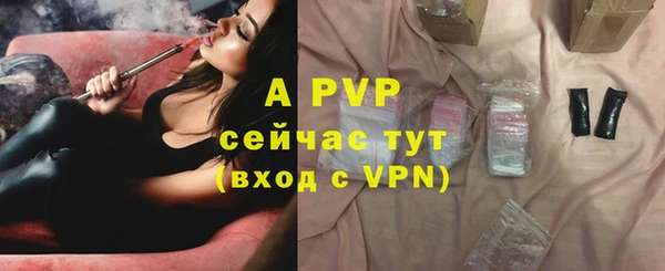 дживик Гусь-Хрустальный