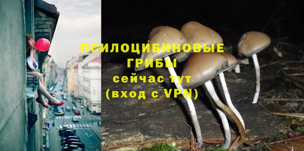 дживик Гусь-Хрустальный