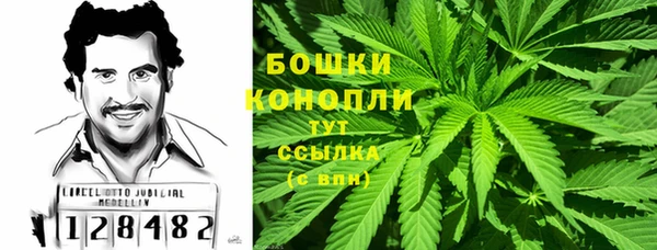 дживик Гусь-Хрустальный