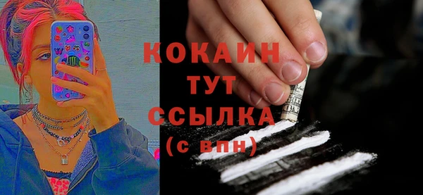 дживик Гусь-Хрустальный