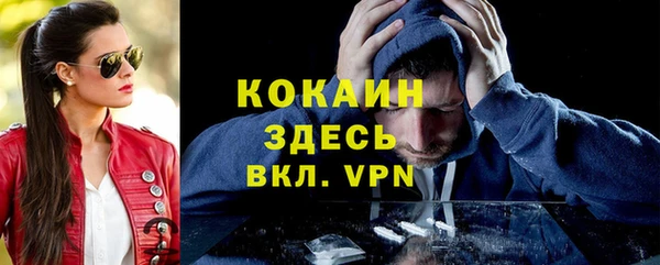 дживик Гусь-Хрустальный