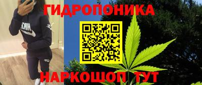гашишное масло Заволжье