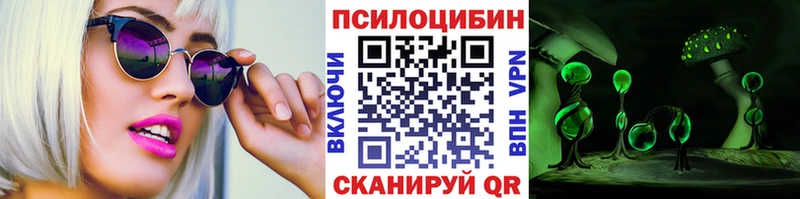 продажа наркотиков  Камень-на-Оби  Псилоцибиновые грибы мухоморы 