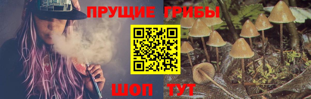 Камень-на-Оби  где найти наркотики  Галлюциногенные грибы ЛСД  Вход с VPN  Псилоцибиновые грибы MAGIC MUSHROOMS 